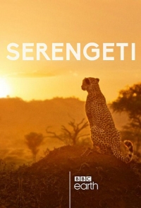 Постер «Серенгети»