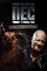 Постер «Новогодний Пес»