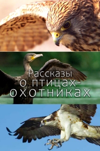 Постер «Рассказы о птицах-охотниках»