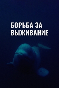 Постер «Борьба за выживание (2017)»