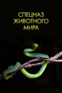Постер «Спецназ животного мира»