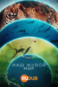 Постер «Наш живой мир»