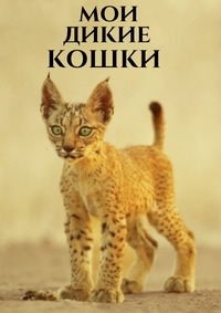 Постер «Мои дикие кошки»