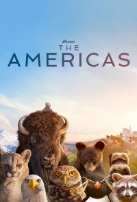 Постер «Америка (2025)»