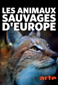 Постер «В европейской глуши»